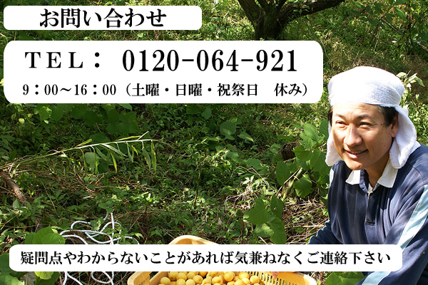 深見梅店 連絡先